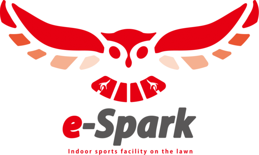 e-Spark